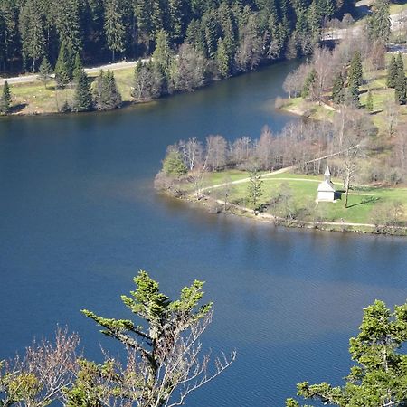Chalet La Petite Perle Gerardmer Luaran gambar