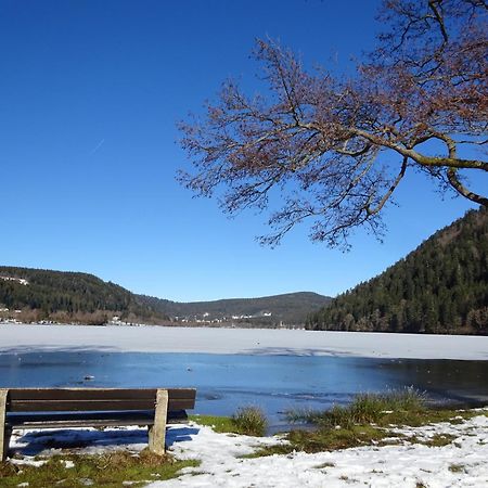 Chalet La Petite Perle Gerardmer Luaran gambar