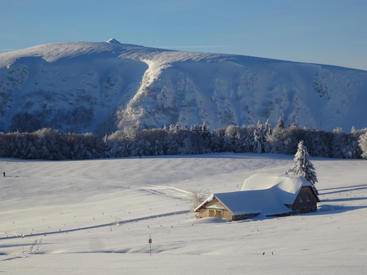 Chalet La Petite Perle Gerardmer Luaran gambar