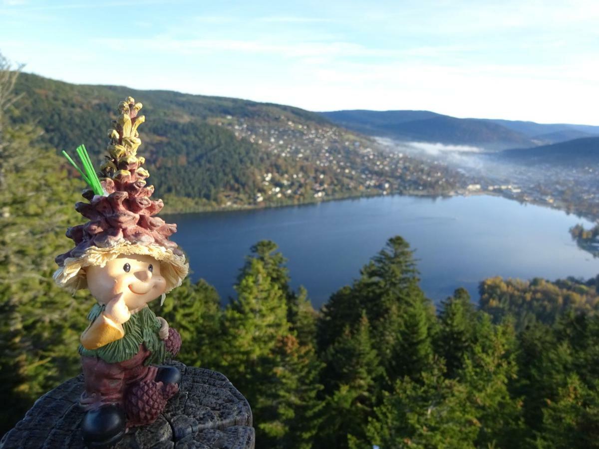 Chalet La Petite Perle Gerardmer Luaran gambar