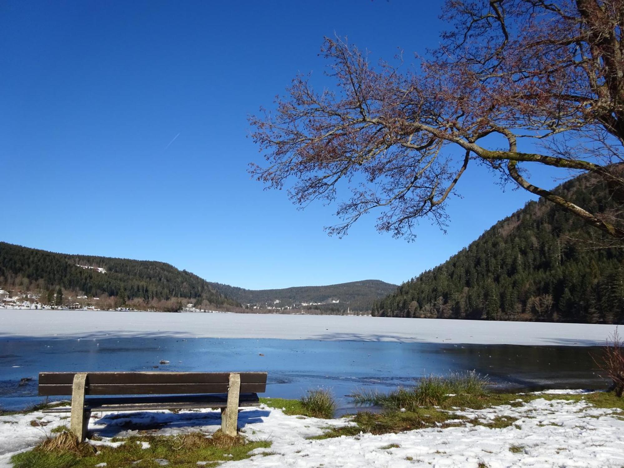 Chalet La Petite Perle Gerardmer Luaran gambar